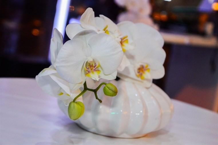 Cadrans Unveiling Dbayeh Flagship Store